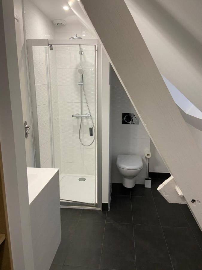 Appartement Du Chateau De La Caillerie Avoine Екстериор снимка